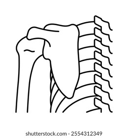 Scapula, line icon. Shoulder blade bone, spine, ribs, clavicle, humerus, back view. Linear illustration. Skeleton, bones. Editable stroke, pictogram, symbol.