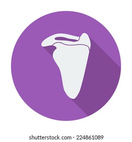 Scapula. Single flat color icon. Vector illustration.