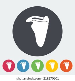 Scapula. Single flat icon on the circle. Vector illustration.