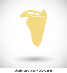 Scapula. Single flat icon on white background. Vector illustration.