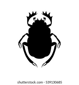 Scarab Beetle