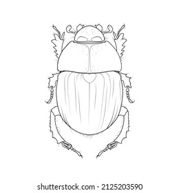 Escarabajo de Scarab, antiguo símbolo de Egipto. Dibujo de bicho de escarabaus vectorial. Ilustración gráfica de un insecto sagrado de faraón egipcio. Imagen de las existencias de escarabajo estiércol