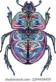 scarab beetle with bright patterns, multi-colored, black torn stroke edge, symmetry, insect	
