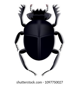 Scarab beetle created using a mesh gradient on a white background with shadow