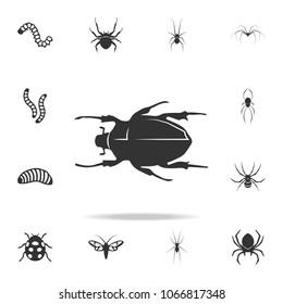 Scarab beetle. Detailed set of insects items icons. Premium quality graphic design. One of the collection icons for websites, web design, mobile app on white background