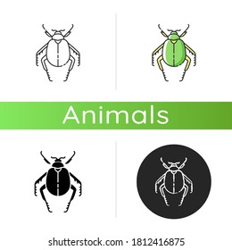 Scarab beetle icon. Linear black and RGB color styles. Small arthropod, egyptian bug, desert inhabitant. Zoology, entomology, ancient Egypt culture. Dung beetle isolated isolated vector illustrations