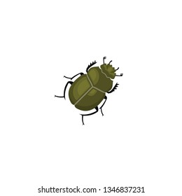 scarab beetle icon on a white background