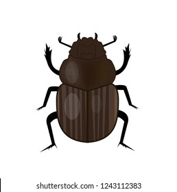 Scarab beetle insect icon, flat style. Symbol of ancient Egypt. Isolated on white background. Vector illustration.