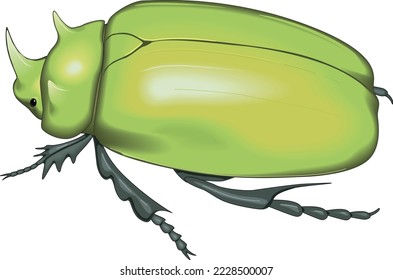 Scarab Beetle Insect Vector Illustration