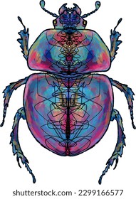 scarab beetle , multi-colored, black torn stroke edge, symmetry, insect	
