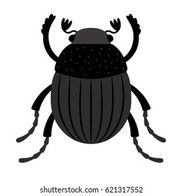 Scarab beetle - original specialist in the utilization of waste, almost all his life is concentrated around the main source of food - manure