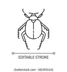 Scarab beetle pixel perfect linear icon. Small arthropod, egyptian bug, desert inhabitant. Thin line customizable illustration. Contour symbol. Vector isolated outline drawing. Editable stroke