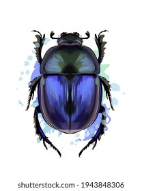 Scarab beetle from a splash of watercolor, colored drawing, realistic. Vector illustration of paints