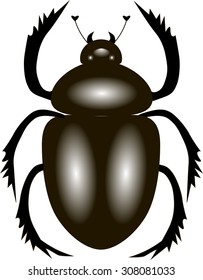 scarab beetle, vector illustration with a beetle-scarab