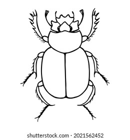 Scarab beetle. Vector stock illustration eps10. Isolate on white background, outline. 