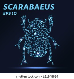 Scarab consists of points, lines and triangles. The polygon shape in the form of a silhouette of a scarab on a dark background Vector illustration