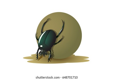 Scarab or dung beetle