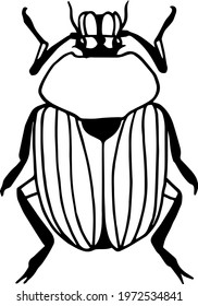 scarab, dung-beetle. Insect collection isolated on white. Vector illustration. set of illustrations. pests, beetles, insects, animals. black and white image 