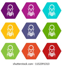Scarab icons 9 set coloful isolated on white for web