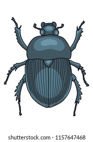 Scarab illustration, doodle, cartoon, drawing, ink, line art, vector