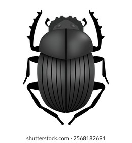 scarab insect or bug, vector illustration 