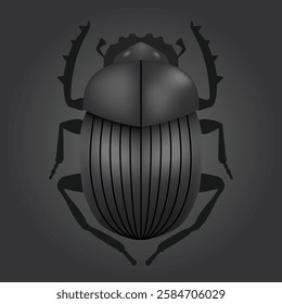 scarab insect or bug, vector illustration 