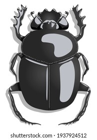 Scarab isolated on white background 
