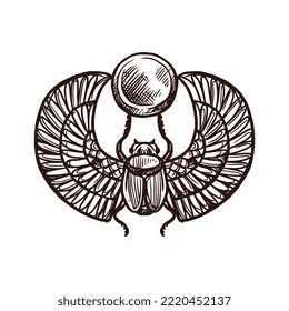 Esbozo de Scarab, símbolo de Egipto antiguo y escarabajo sagrado faraón, icono vector. Cultura, historia y religión de los antiguos egipcios, mitología deidad de Amun Ra en un bosquejo dibujado a mano