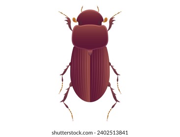 Scarabaeinae Beetle Vector Art isolated on White Background