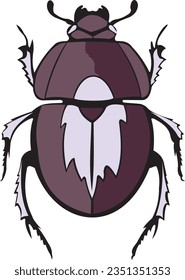 Scarabaeus sacer, beetle, insect, vector element