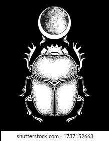 Scarabaeus sacer, Dung beetle. Sacred symbol of in ancient Egypt. Fantasy ornate insects. Isolated vector illustration. Spirituality, occultism, chemistry, occult sun tattoo.