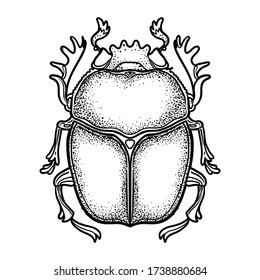 Scarabaeus sacer, Dung beetle. Sacred symbol of in ancient Egypt. Fantasy ornate insects. Isolated vector illustration. Spirituality, occultism, chemistry, occult sun tattoo.