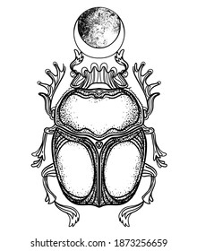 Scarabaeus sacer, Dung beetle. Sacred symbol of in ancient Egypt. Fantasy ornate insects. Isolated vector illustration. Spirituality, occultism, chemistry, occult sun tattoo.