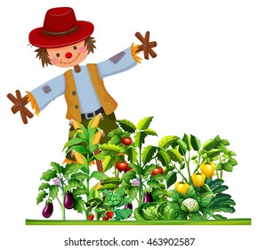 Scarecrow and many types of vegetables in the garden illustration