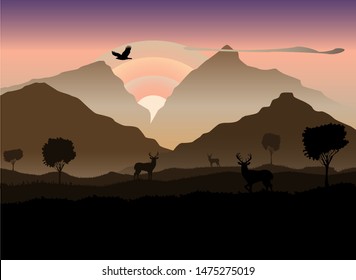Scared animals in the sunset lights