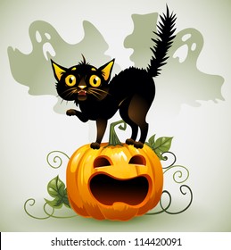 Scared black cat on a pumpkin  and ghost.