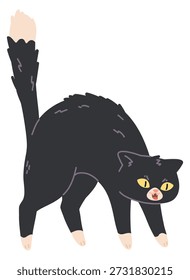 Angst Katze zischt. Wütende Pose. Haustierfigur