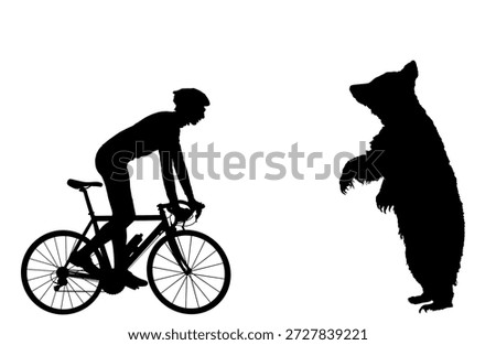 Scared cyclist in front of prance bear on road vector silhouette illustration isolated. Danger beast looks frighten boy on bicycle. Close encounter between man and animal in wildlife. Sober calm male.