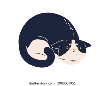 Scared frightened cat with mournful fearful look. Sweet kitty raising eyes up, praying for smth. Adorable kitten with pitying expression. Flat vector illustration of feline animal isolated on white