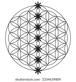 Scared Geometry Vector Design Elements. This is religion, philosophy, and spirituality symbols. the world of geometry with our intricate illustrations.