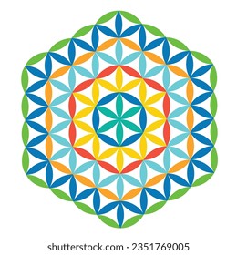 Scared Geometry Vector Design Elements color. festival design. This is religion, philosophy, and spirituality symbols. the world of geometry with our intricate illustrations
