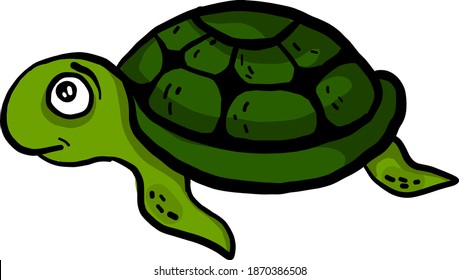 Scared green turtle, illustration, vector on white background.