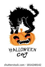 Scared Halloween black cat on pumpkin with handwritten of Halloween cat text on white background. vector illustration.