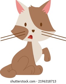 Scared kitten. Shocked pet sitting. Surprised animal