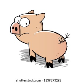 scared little pig