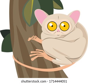 Scared little tarsier sitting on a tree