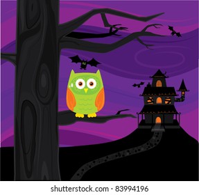 scared owl