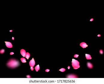 Scarlet amazing petals flying over black background. Apricot spring tree blossom parts confetti. Flower petals vector illustration for Valentine's Day. Seasonal wallpaper.