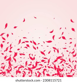 Scarlet Floral Vector Pink Background. Japanese Rose Pattern. Ruby Cherry Fall Wallpaper. Coral Summer Peach Texture.