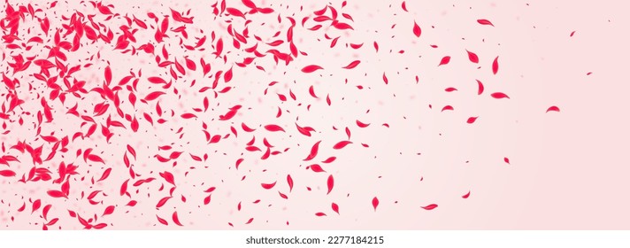 Scarlet Floral Vector Pink Panoramic Background. Flying Cherry Cover. Coral Flower Fall Frame. Red Japan Peach Backdrop.